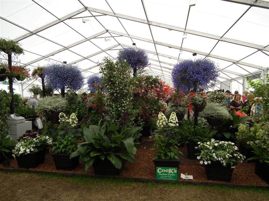 Floral marquee in the long water area 36